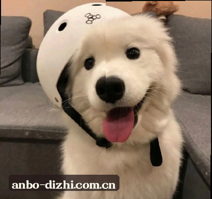 周明